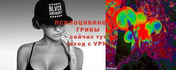 2c-b Елабуга