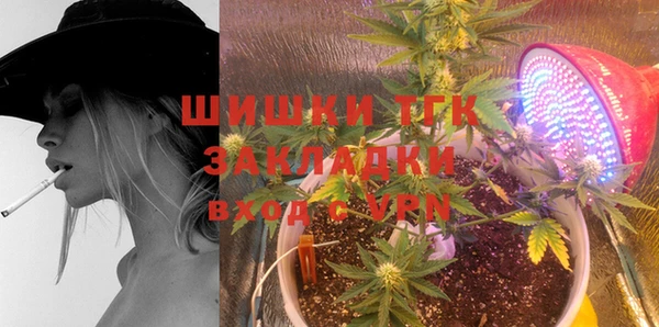 метадон Ельня