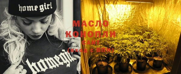 метадон Ельня