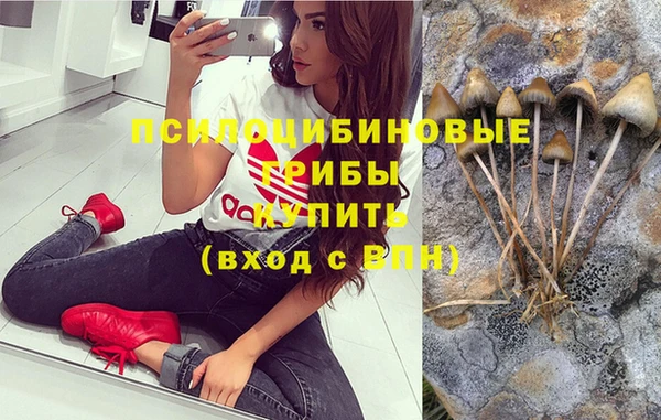 метадон Ельня